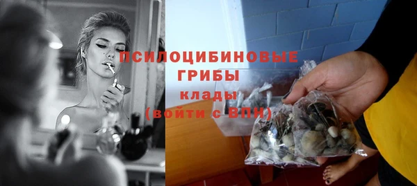 Альфа ПВП Армянск