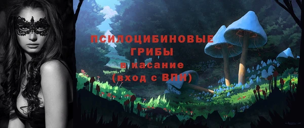 Альфа ПВП Армянск